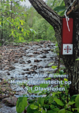 Bekijk deze Boekenkaft van boek Een Pad Naar Binnen van Henk-Jan Kienhuis