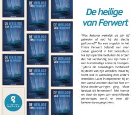 Bekijk deze Boekenkaft van boek De Heilige van Ferwert van Jan Heutink