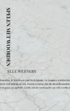 Bekijk deze Boekenkaft van boek Spelen met woorden van Elle Werners