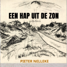 Bekijk deze Boekenkaft van boek Een hap uit de zon van Elle Werners alias Pieter Nelleke