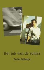Bekijk deze Boekenkaft van boek Het juk van de schijn van Eveline Kubbenga